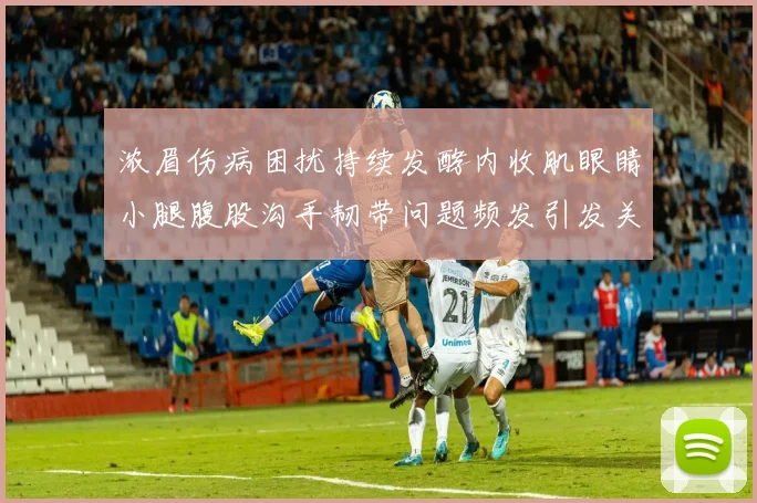 浓眉伤病困扰持续发酵内收肌眼睛小腿腹股沟手韧带问题频发引发关注