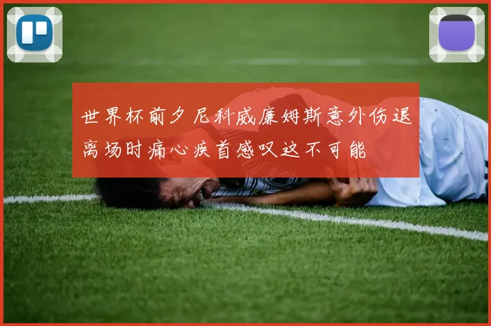 世界杯前夕尼科威廉姆斯意外伤退离场时痛心疾首感叹这不可能